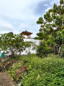 Mary Property Tabanan House For Sale 1