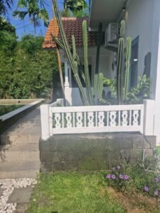 mary property kerobokan 3